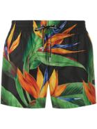 Dolce & Gabbana Jungle Print Swim Shorts - Green