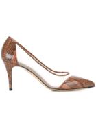 Bionda Castana Lama Elaphe Mesh Panel Pumps