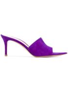 Gianvito Rossi Pointed Mules - Pink & Purple