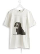 Lost And Found Kids Dog Print T-shirt, Size: 6 Yrs, White