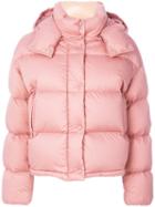 Moncler - Classic Padded Jacket - Women - Cotton/feather Down/polyamide/feather - 00, Pink/purple, Cotton/feather Down/polyamide/feather