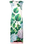 Dolce & Gabbana Hydrangea Print Dress - Multicolour