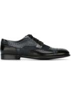 Dolce & Gabbana Panelled Brogue Shoes