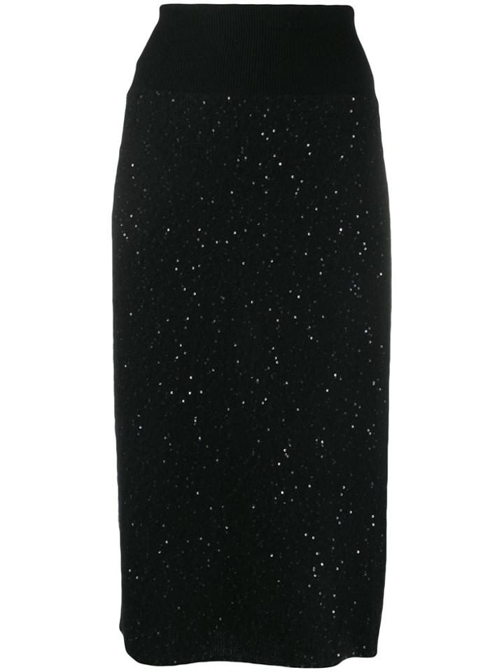 Fabiana Filippi Embellished Pencil Skirt - Black