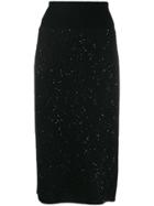 Fabiana Filippi Embellished Pencil Skirt - Black