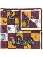 Alexander Mcqueen Snakes And Ladders Scarf - Multicolour