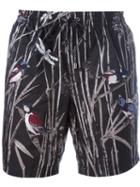 Dolce & Gabbana Bird Print Swim Shorts, Men's, Size: V, Black, Polyamide/polyester