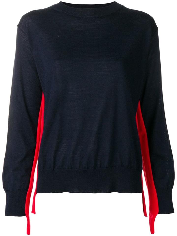 Sofie D'hoore Stripe Detail Loose Sweater - Blue