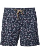 Thorsun 'birds' Swim Shorts, Men's, Size: 34, Blue, Polyester