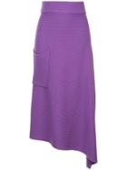 Tibi Asymmetric Ribbed Skirt - Purple