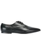 Junya Watanabe Comme Des Garçons Pointed Toe Derby Shoes