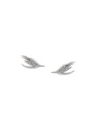 Shaun Leane White Feather Diamond Earrings - Metallic