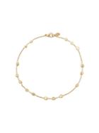 Natasha Collis - Gold