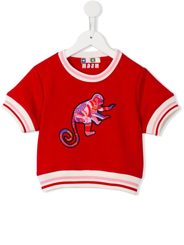 Msgm Kids Cropped Sweatshirt, Girl's, Size: 12 Yrs, Red