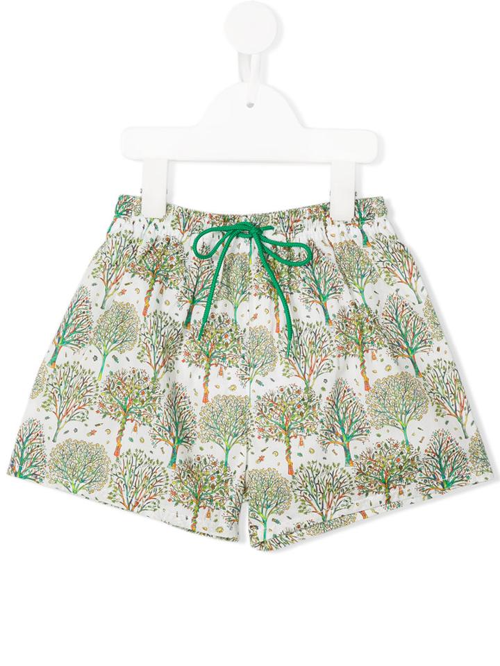 Amaia Tree Print Swim Shorts, Boy's, Size: 8 Yrs, Grey