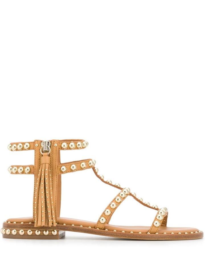 Ash Flat Studded Sandals - Brown