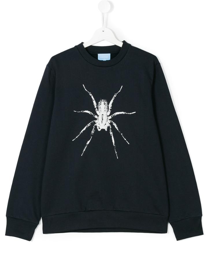 Lanvin Petite Teen Spider Print Sweatshirt - Blue