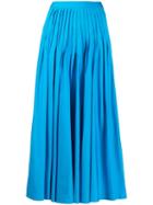 Roksanda Midi Pleated Skirt - Blue
