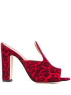 Paris Texas Leopard Print Sandals - Red