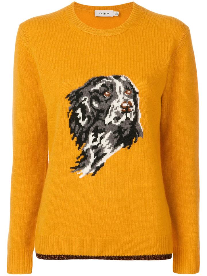 Coach Dog Intarsia Jumper - Yellow & Orange