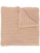I Love Mr Mittens Oversize Ribbed Knit Scarf - Brown
