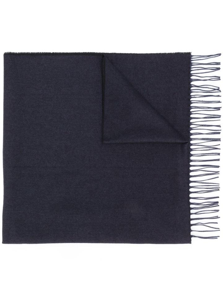 Ermenegildo Zegna Fringed Edge Scarf - Blue