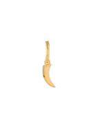 Northskull Tiger-claw Hoop Earring - Gold
