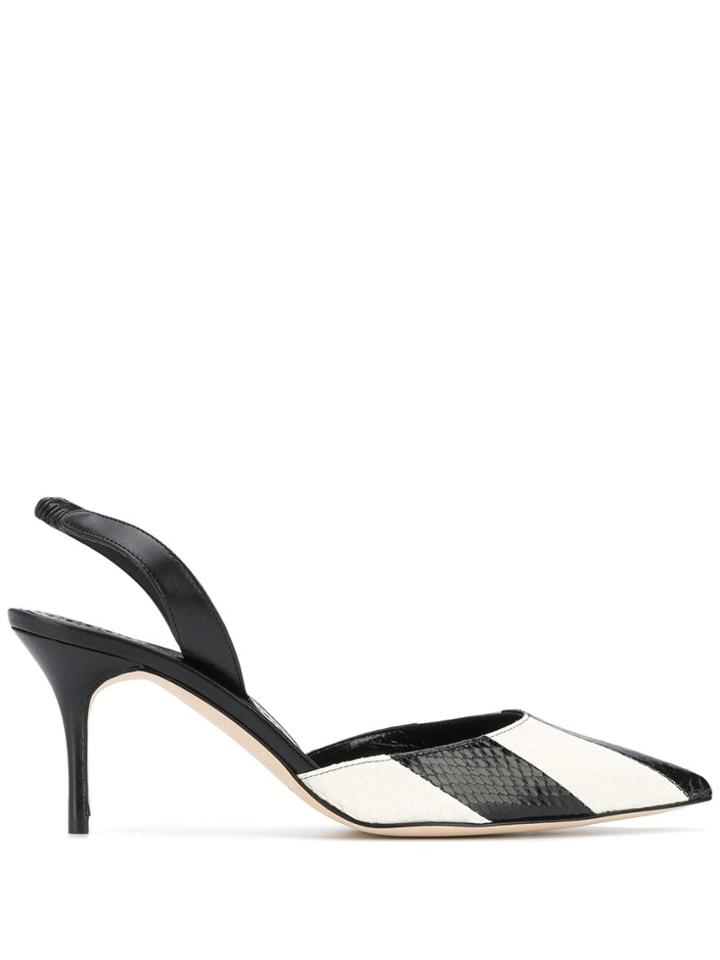 Castañer Carolyn Pointed Pumps - Black