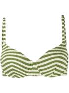 Solid & Striped Striped Bikini Top - Green