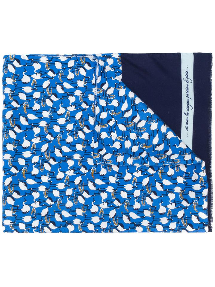 Fefè Scgarcico Scarf - Blue