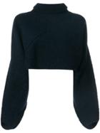 Victoria Beckham Chunky Knit Cropped Turtleneck Jumper - Blue