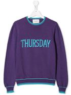 Alberta Ferretti Kids Teen Thursday Jumper - Purple