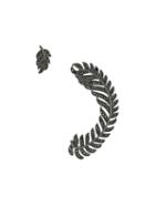 Federica Tosi 'leaf' Earrings, Women's, Black