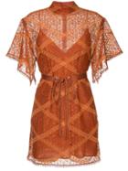 Manning Cartell Lace Layer Dress - Brown