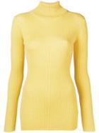 Iris Von Arnim Roll-neck Ribbed Sweater - Yellow & Orange