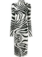Just Cavalli Roll Neck Zebra Dress - White