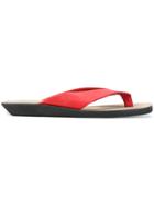 Lost & Found Rooms Thong Sandals - Red
