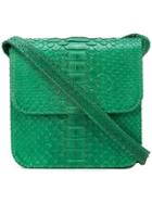 Gelareh Mizrahi Python Skin Crossbody Bag - Green