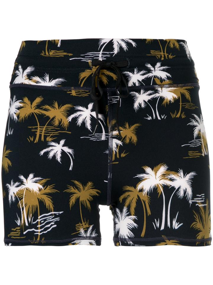 The Upside Palm Tree Printed Shorts - Blue