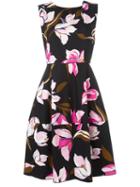Salvatore Ferragamo Floral Print Dress, Women's, Size: 44, Black, Cotton