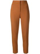 Elisabetta Franchi Cropped Trousers - Brown