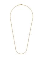 Northskull Chain Necklace - Gold