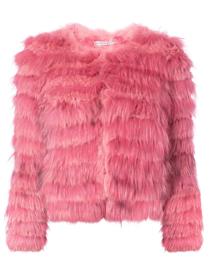 Alice+olivia Fur Jacket - Pink & Purple