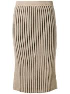 Victoria Victoria Beckham Stripe Knitted Pencil Skirt - Nude &