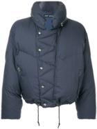 Issey Miyake Pre-owned Cropped Puffer Jacket - Blue
