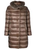 Herno - Padded Coat With Fur Trim - Women - Cotton/feather Down/fox Fur/acetate - 40, Brown, Cotton/feather Down/fox Fur/acetate