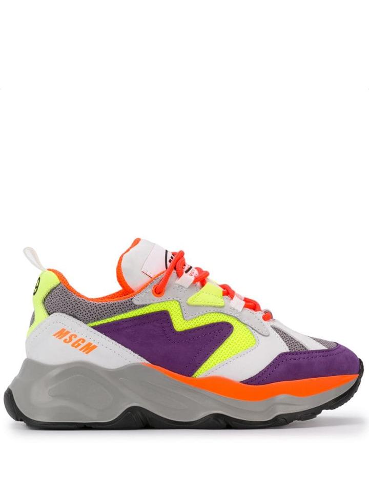Msgm - Purple