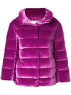 Herno Concealed Fastening Padded Jacket - Pink & Purple