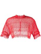 Philosophy Di Lorenzo Serafini Crochet Crop Top - Red