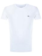 Lacoste Embroidered Chest Logo T-shirt, Men's, Size: Xxl, White, Cotton